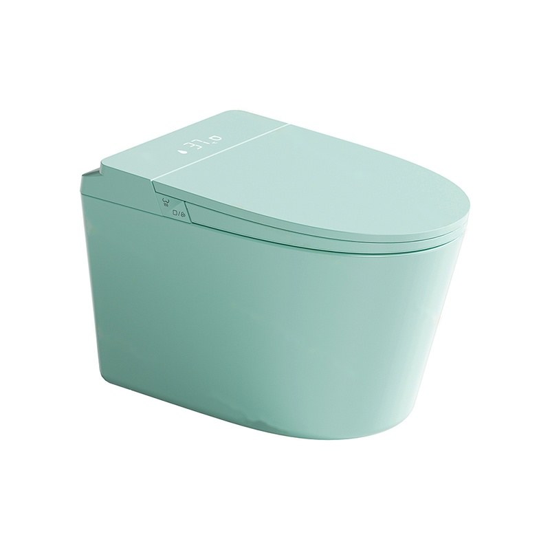 LT-TO-1137-WA-SFM colored smart-toilets