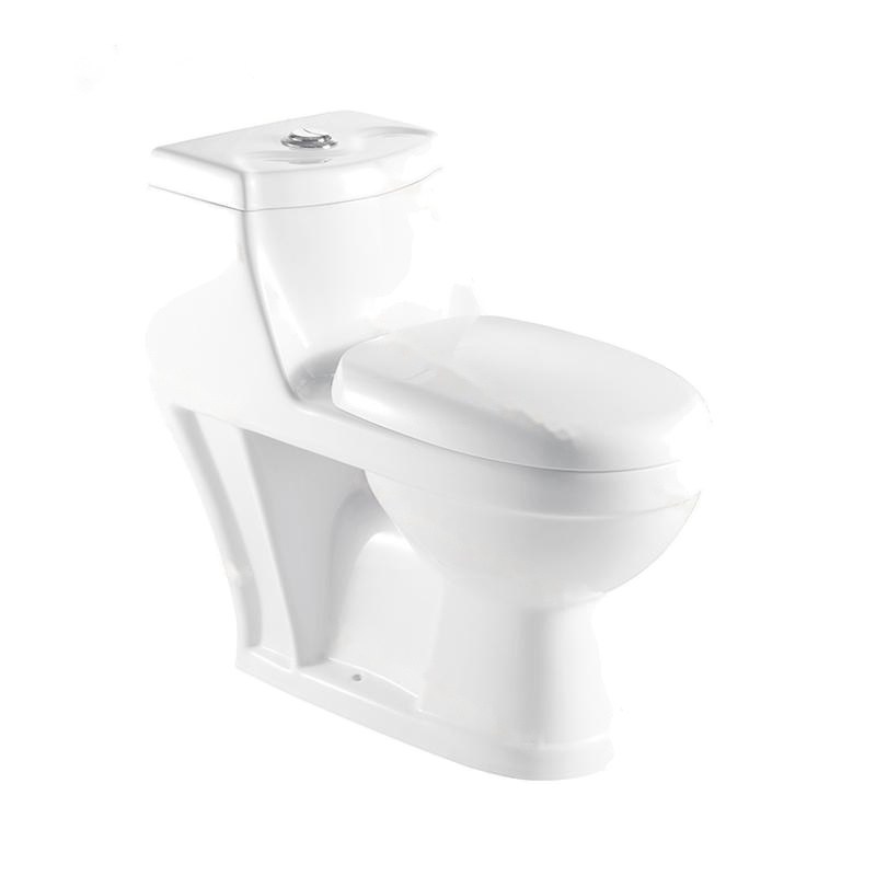LT-1021 white one-piece-toilets